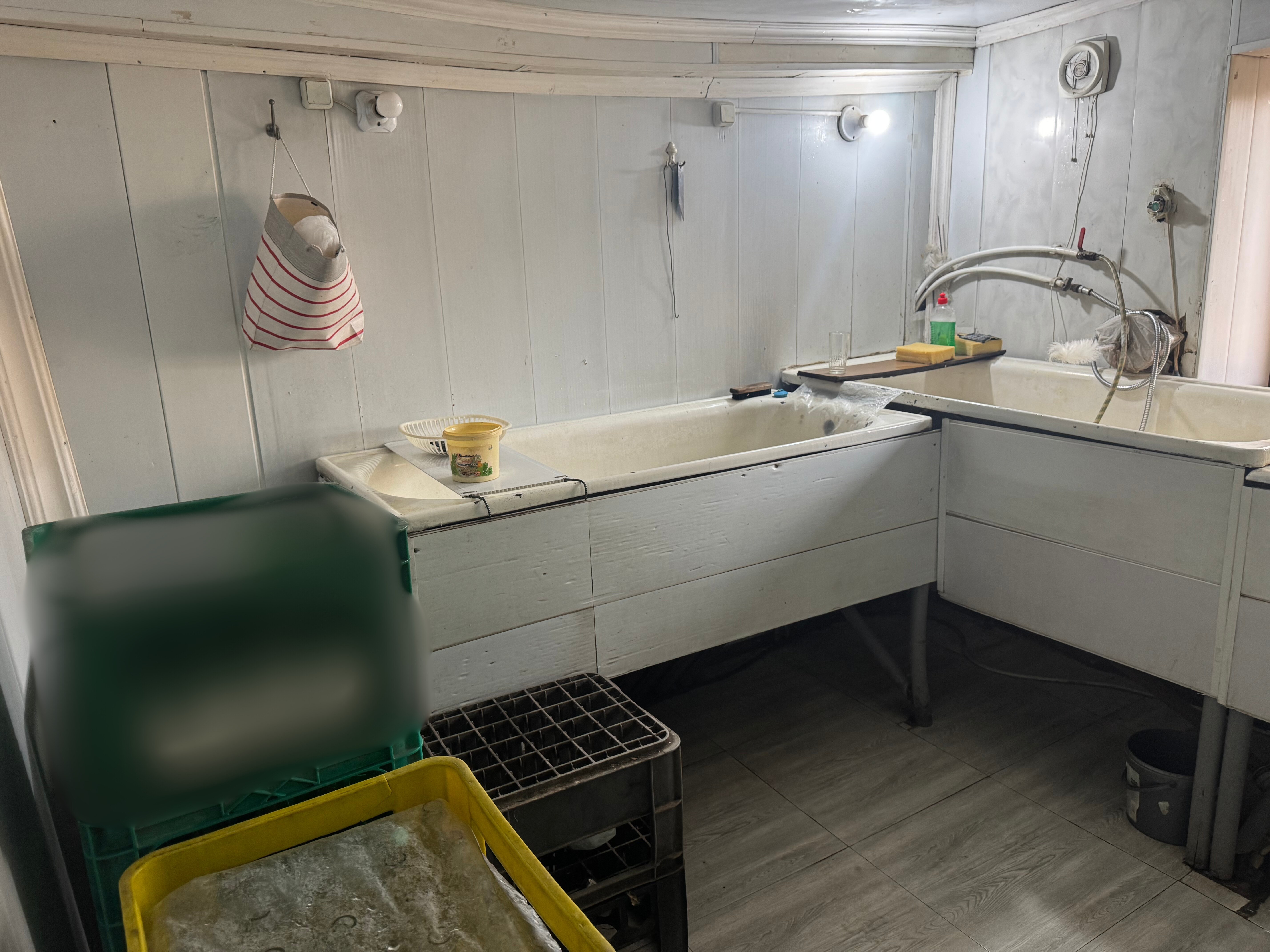 IMG_2285 - Edited_1762862323.jpg